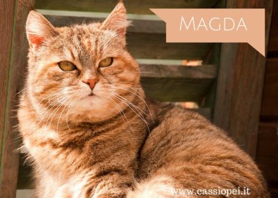 Magda (Fiv+)