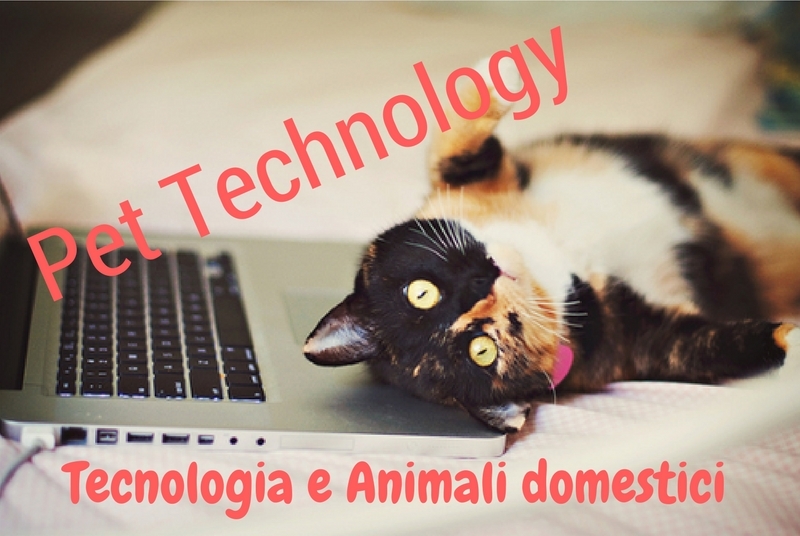 Pet technology: tecnologia e animali domestici