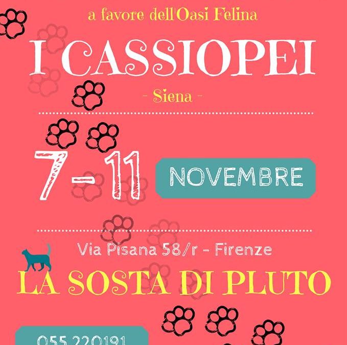 Raccolta per i Cassiopei: La Sosta di Pluto – Firenze