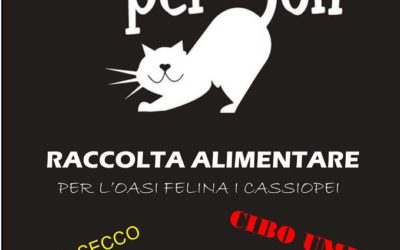 Raccolta alimentare – 16 Febbraio