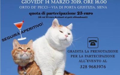 L’inserimento di un nuovo gatto. Problemi di convivenza fra gatti – 14 Marzo