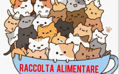 Raccolta alimentare – 8 Giugno